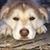Alma Guardado's profile image