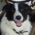 Nancy Thornton-Waterhouse's profile image