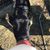 Katee Jean Pevler's profile image