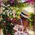 Julienne Alexis Dennis's profile image