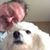 Thomas Lindaman's profile image