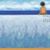 Carol Hsieh's profile image