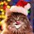 Robert S McDowell's profile image