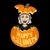 Sally Landry McNaughton's profile image