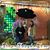 Diane Ouellette Donnelly's profile image