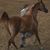 Joseph Berry's profile image