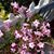 Belinda Walling Severson's profile image