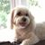 Susan Sterling's profile image
