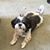 Donna Zeman-Fisher's profile image