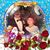 Ann Ciampa Drapala's profile image