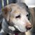 Judi Wuttke's profile image