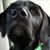Dianna Hiatt's profile image