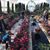 Kathy Cobb Pahl's profile image