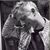 Todd Sprang's profile image