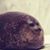 Laura Fidler's profile image