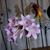 Cynthia Bradford's profile image