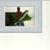 Jason Crapps's profile image