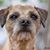 Jodi Pratt's profile image