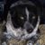 Keith Pacey's profile image