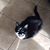 Linda Brooks's profile image