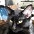 Sherry L Wharton Switalski's profile image