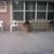 Assistant Living Facility Florry Creative Care Corp - Florry House's profile image