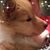 Leigh Anne Bates's profile image