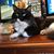 Kay Stimson's profile image