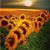 Beth Slavin's profile image