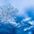 Lisa Choquette Tenander's profile image