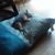 Margaret Ann Quinn Neil's profile image