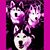 Dessie Lane's profile image