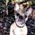 Beth Lagimonier's profile image