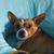 Moe Reilly's profile image