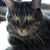 Nancy Klein's profile image