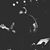 Korban Faircloth's profile image