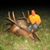 Joe Olsonawski's profile image