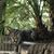 Rebecca Talton Pitts's profile image