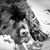 Cathy Jurewicz's profile image