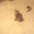 Nicole Ann Stephens's profile image