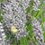 Jill Wolert Cunningham's profile image