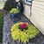 Joni Shellenbarger Anderson's profile image