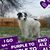 Kathy Cirac's profile image