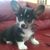 Esben L. Rey's profile image