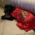 Melissa Anaya Barone's profile image