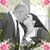 Nora Payne's profile image