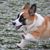 Eric Herwig's profile image