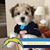 Sharon Edmunds's profile image
