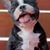 Suzanne Hart's profile image