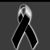 Alan Gonzalez's profile image